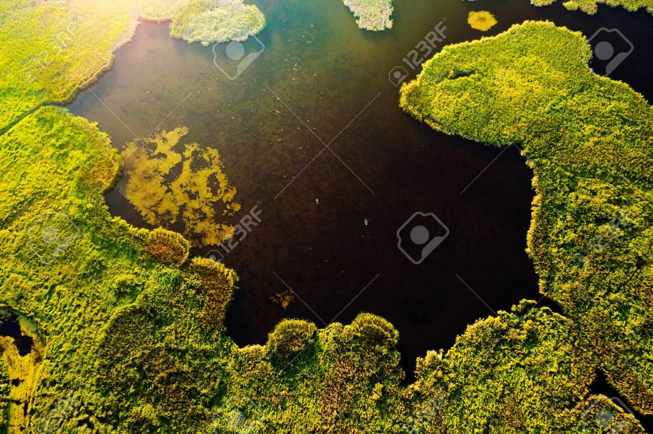 Lush Wetlands Of Bird S Eye Green Field Background Location