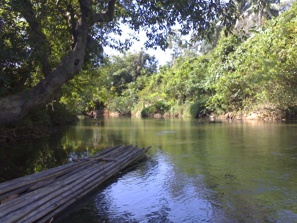 Wallpaper Desktop Nature
