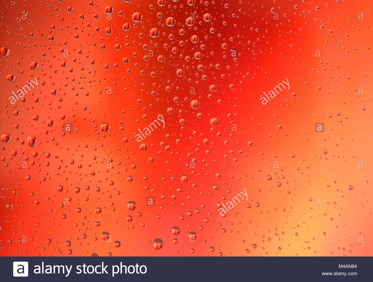 Water Drops On Red Gradient Background Love Passion Heart