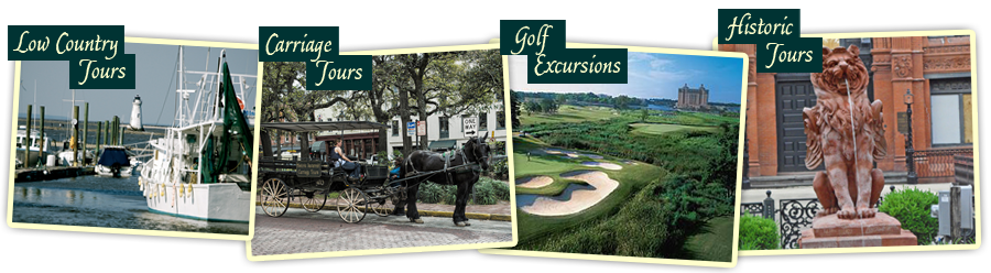  Private Tours Excursions Museums Transportation Savannah GA
