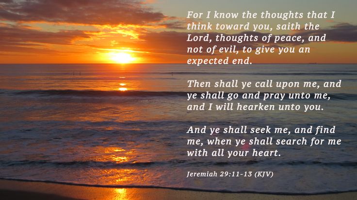 Jeremiah Kjv More Great Verses Bible
