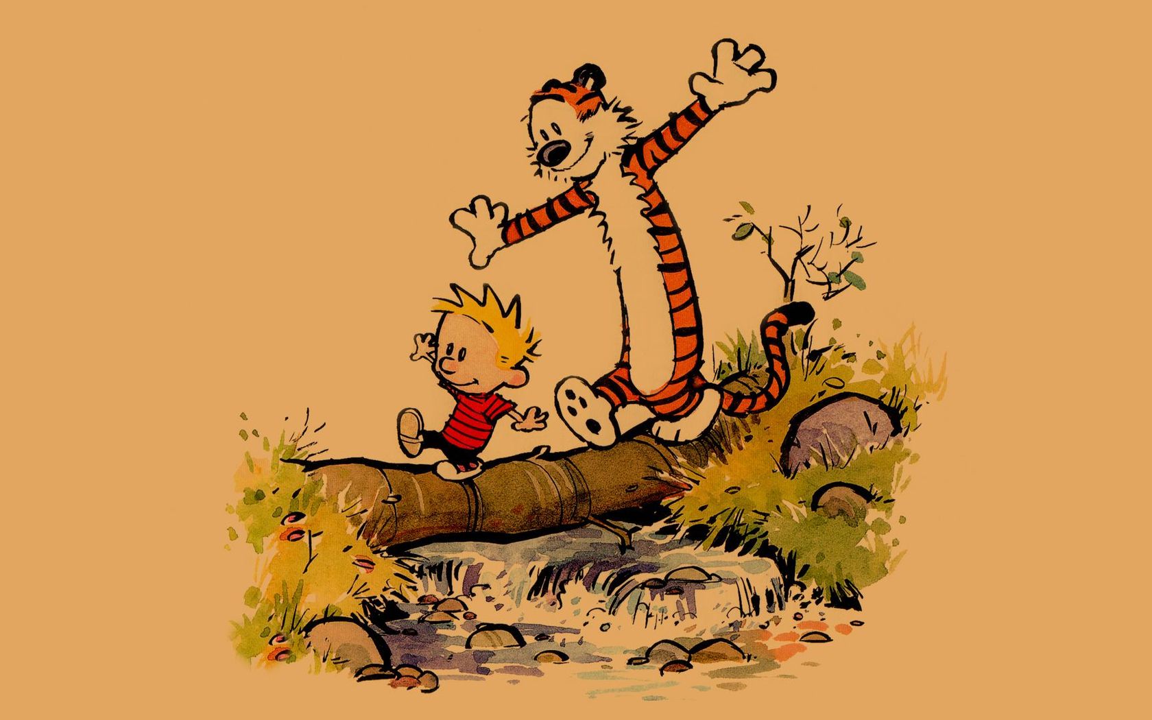 Download Calvin and Hobbes wallpaper