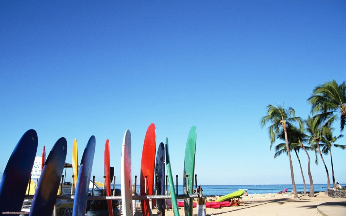 Beach Surfboards Palm Trees Wallpaper