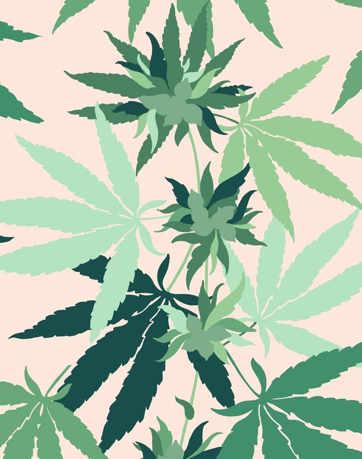 Cannabis Wallpaper Peach Wallshoppe
