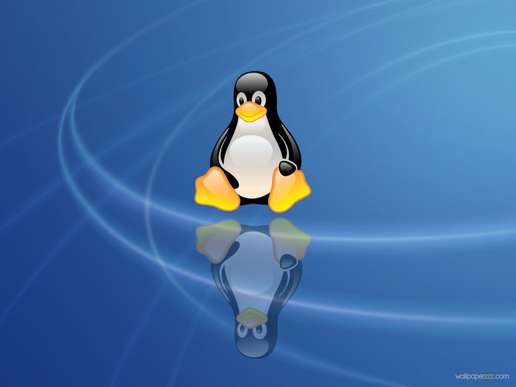 Linux Penguin Wallpaper On