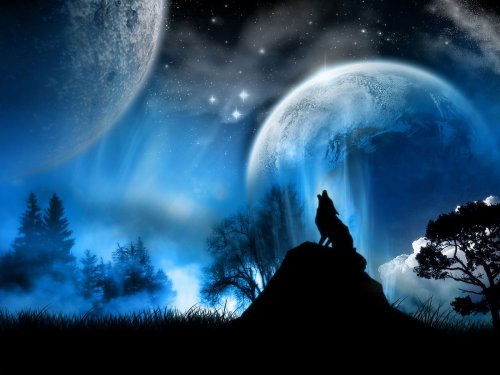 full moon wolf wallpaper   Mobile wallpapers