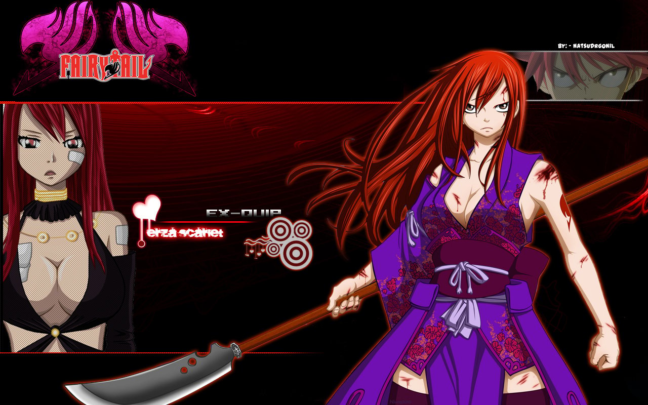 Fairy Tail Erza Wallpaper Images amp Pictures Becuo