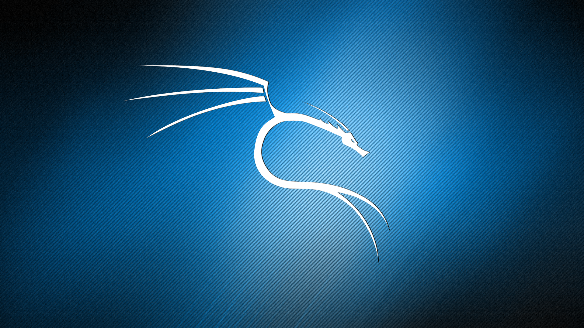Kali Linux Background Wallpaper