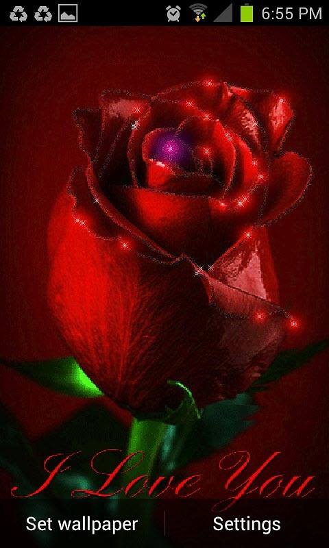 Sparkling Rose Live Wallpaper Android