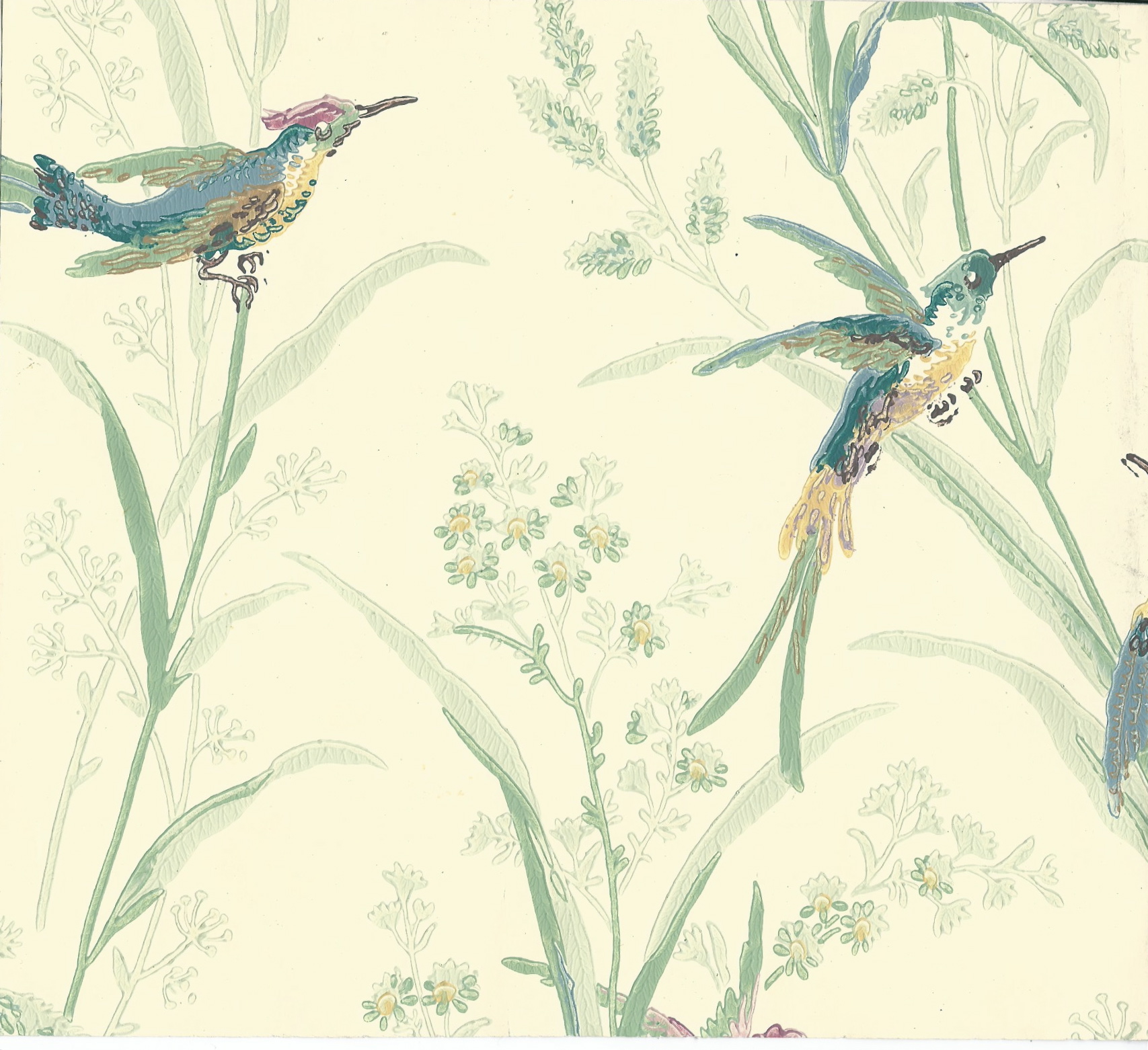 Go Back Image For Bird Wallpaper Designs