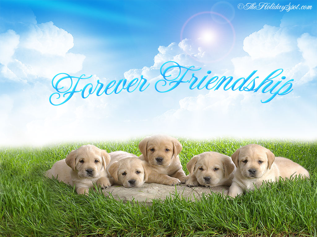 Free download Forever friendship between some canine friends ...