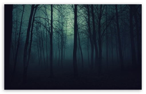 Dark Forest HD desktop wallpaper High Definition Fullscreen