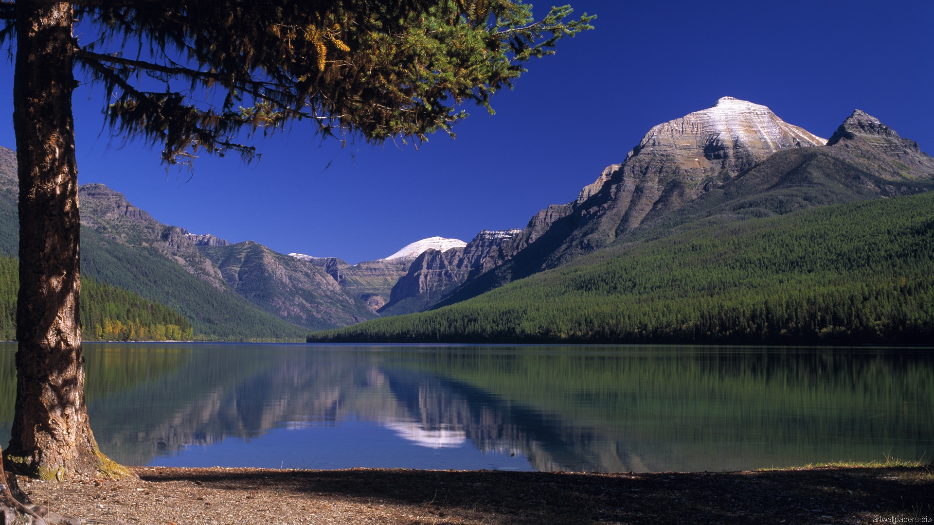 montana scenery