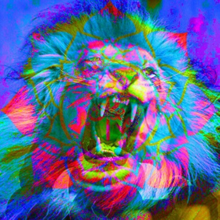 Trippy Lion Rave Rage Lsd