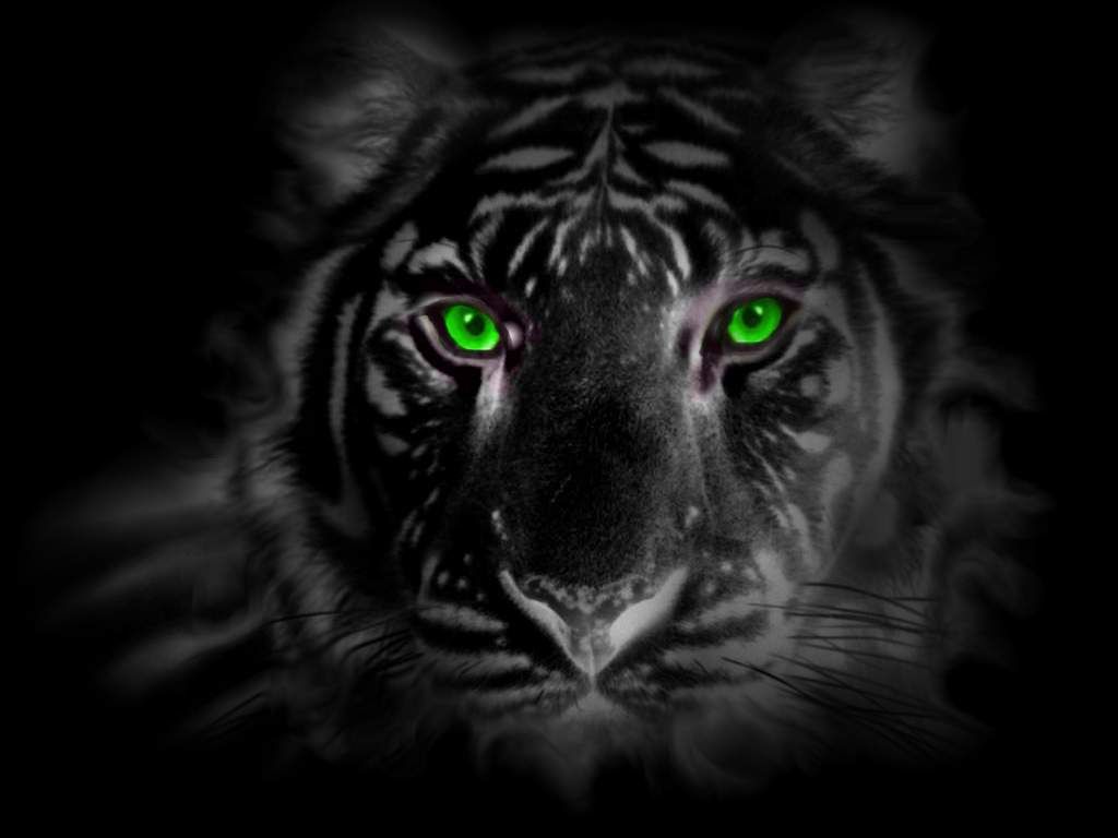 Black Panther Eyes Wallpaper Green Eye Tiger By Tigerallied
