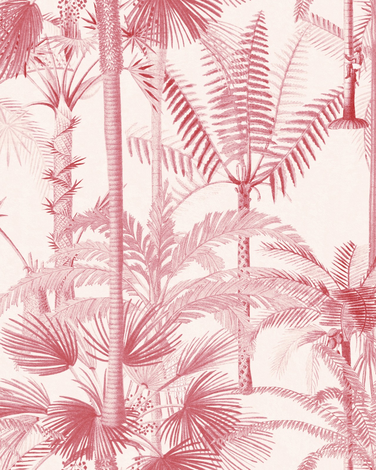 PALMERA CUBANA Pink Wallpaper   Designer Collection   Wallpaper 1280x1600