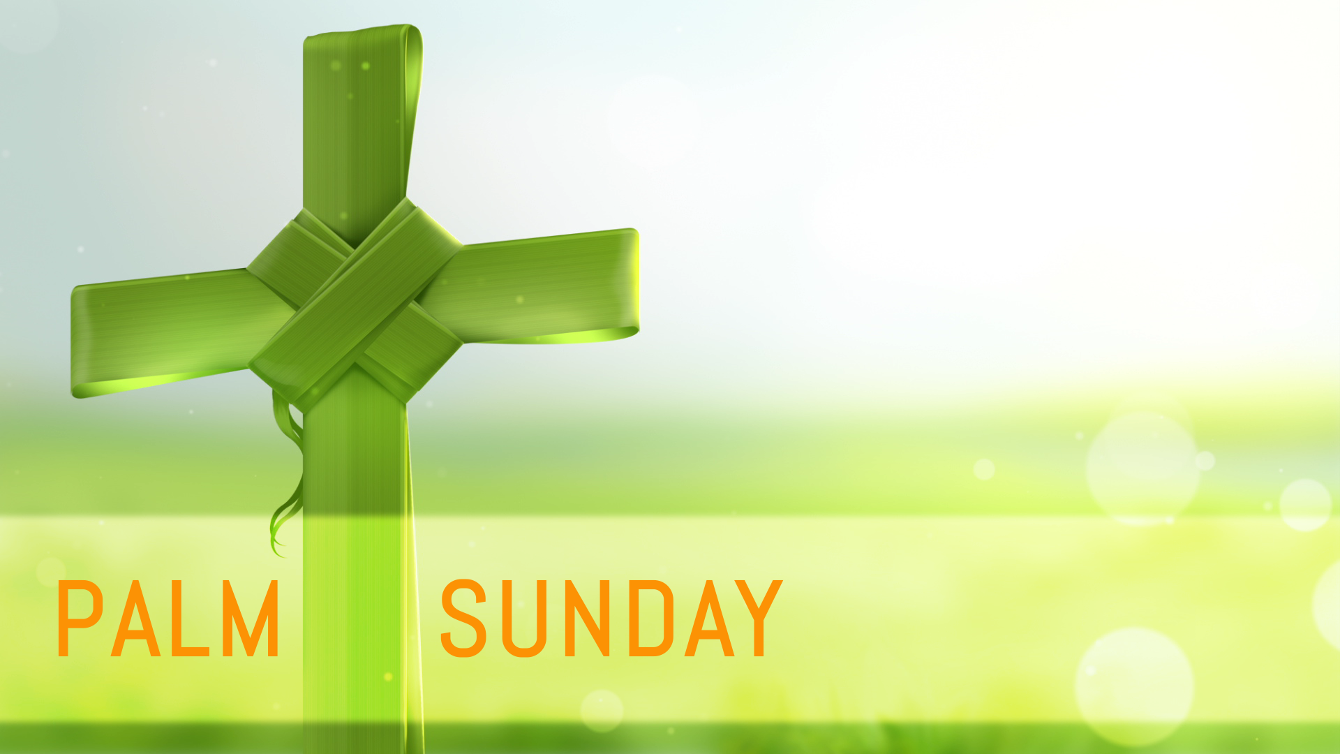 Free download Palm Sunday Wallpapers High Quality Download Free