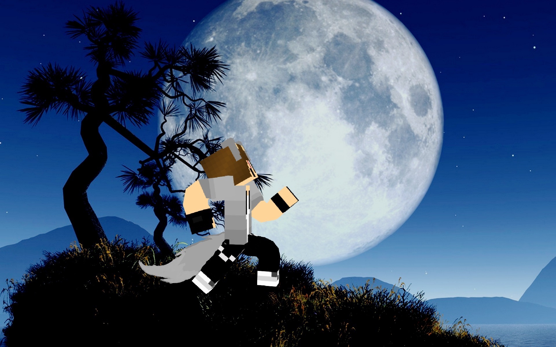 Minecraft Wallpaper Howling Wolf Boy By Xprettypinkprincessx On