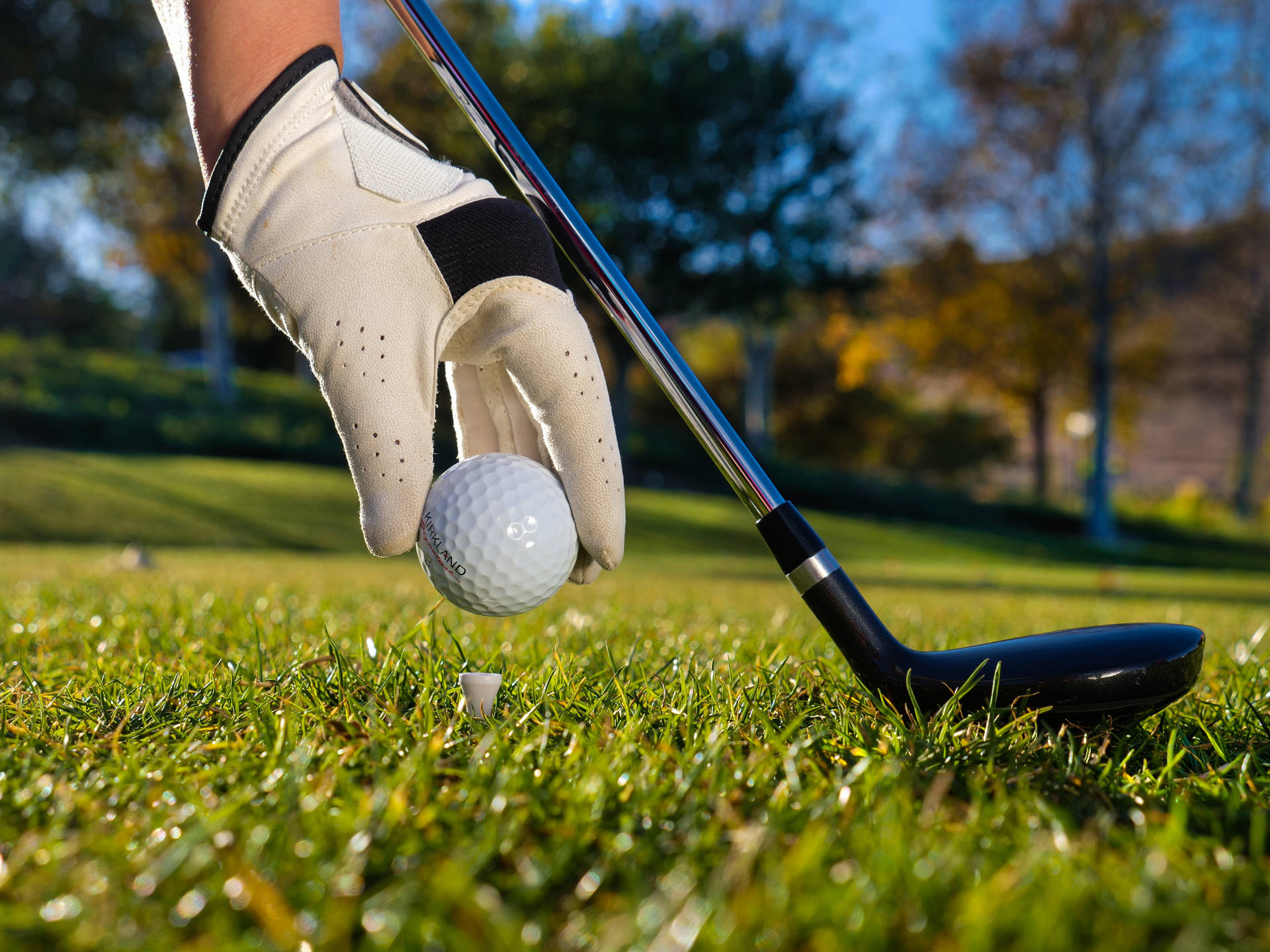 4k Golf Wallpaper