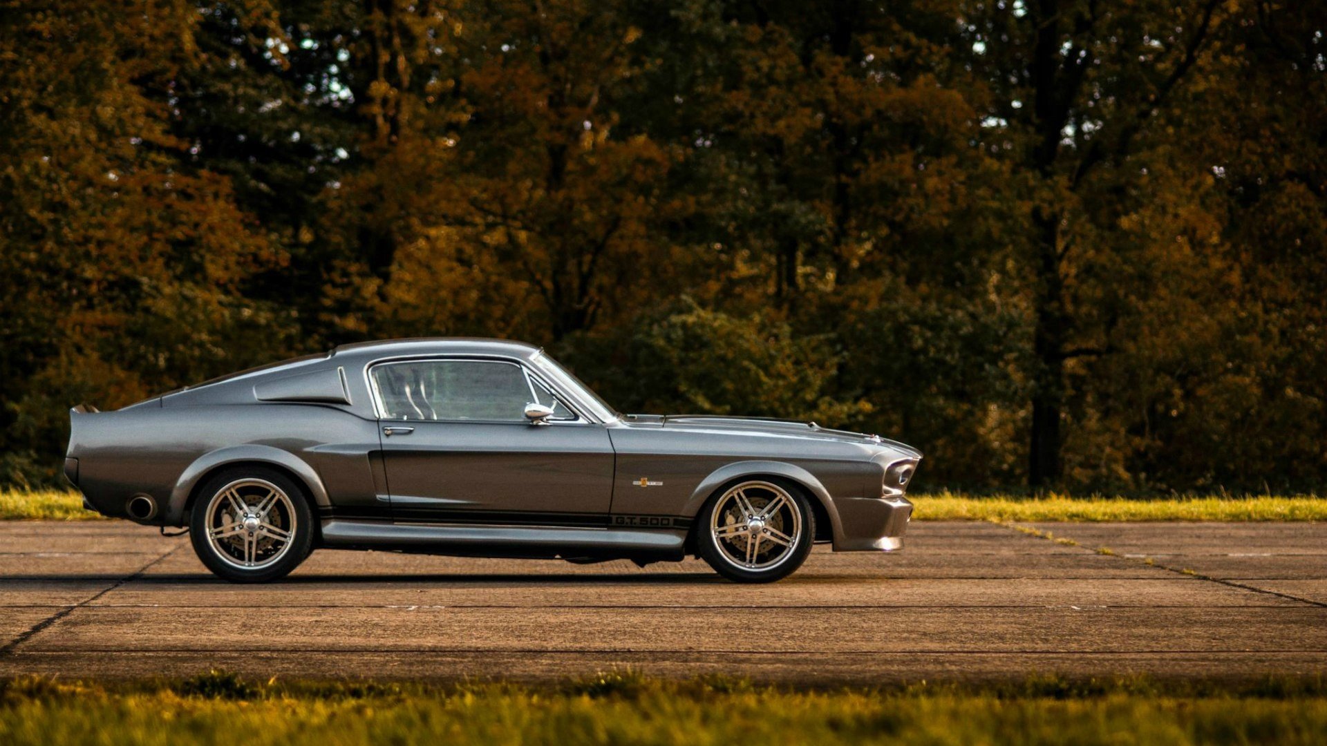 Classic Gray Ford Mustang Shelby GT500 on a Road