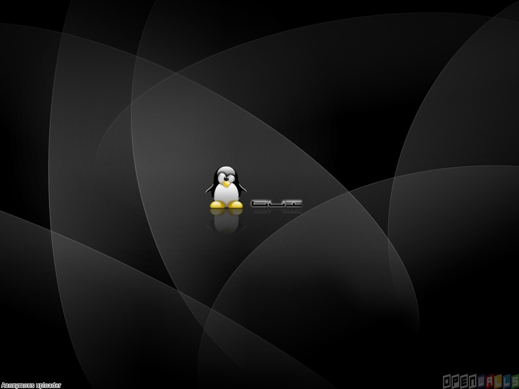 Linux Penguin Wallpaper Open Walls