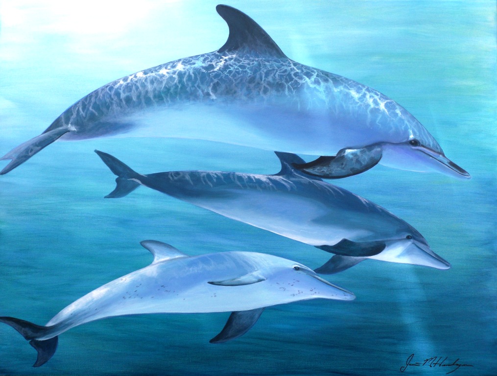 Swimming Dolphins Desktop Calendar