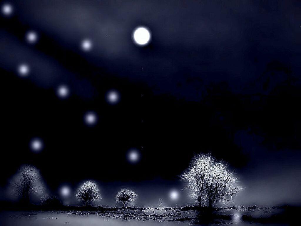 Moonlight Night Wallpaper