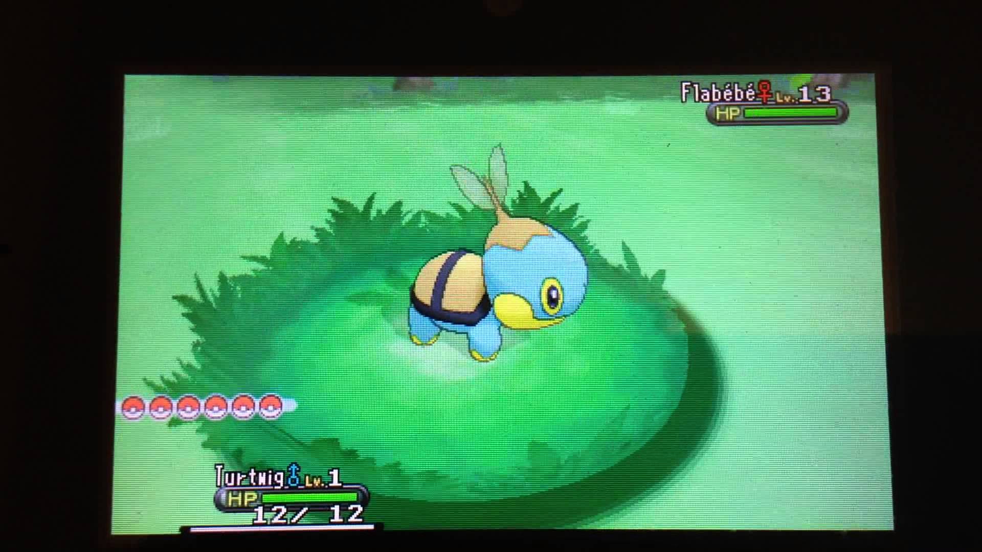 Mm Shiny Turtwig Hatched Only A Day Hunt In Pokemon Y
