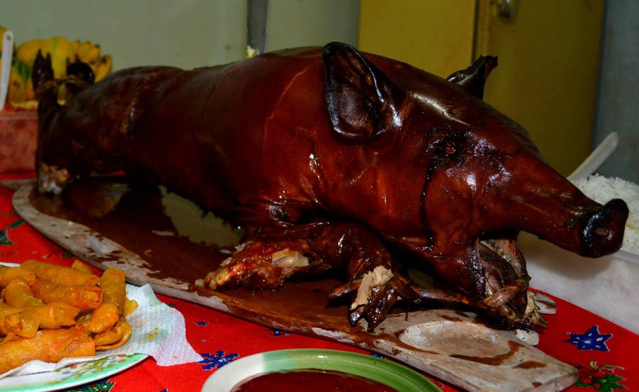 Lechon Jcl2lunr6tkczgf2 Wallpaper