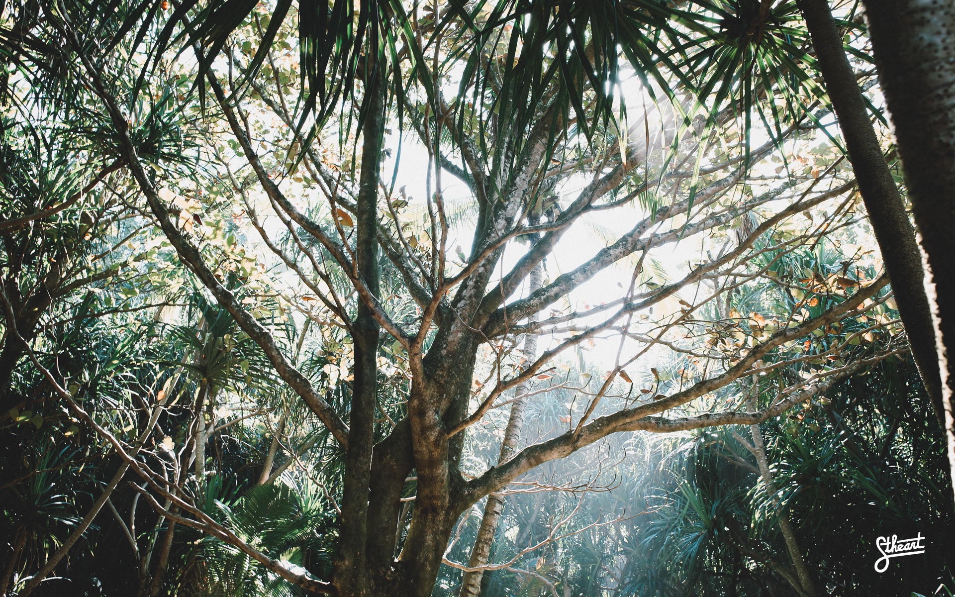 Kauai Hawaii Wallpaper Island Edition