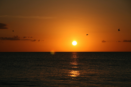 Pin Sunset In Naples Florida HD Desktop Wallpaper Widescreen High On