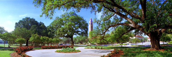 Illegal And Harmful Content Lsu Campus Wallpaper HD