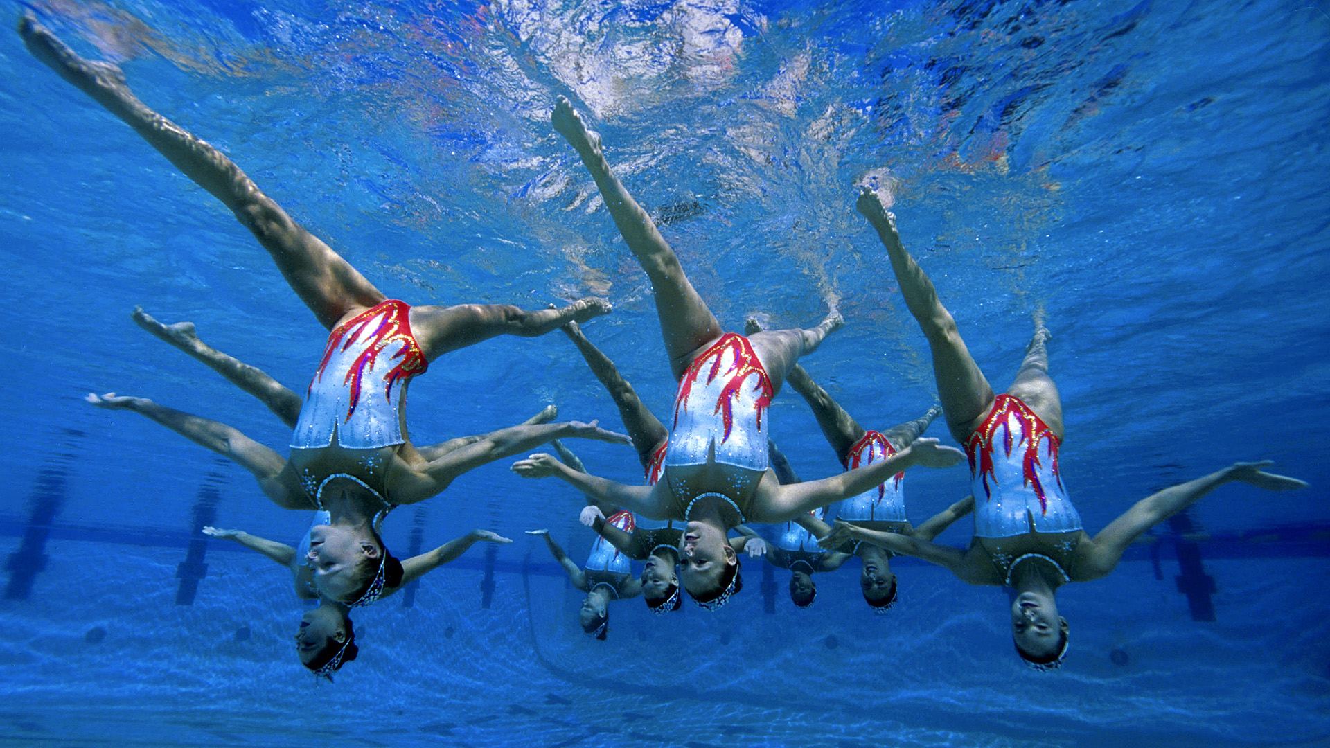 Swimming Team Nature HD Wallpaper Photography