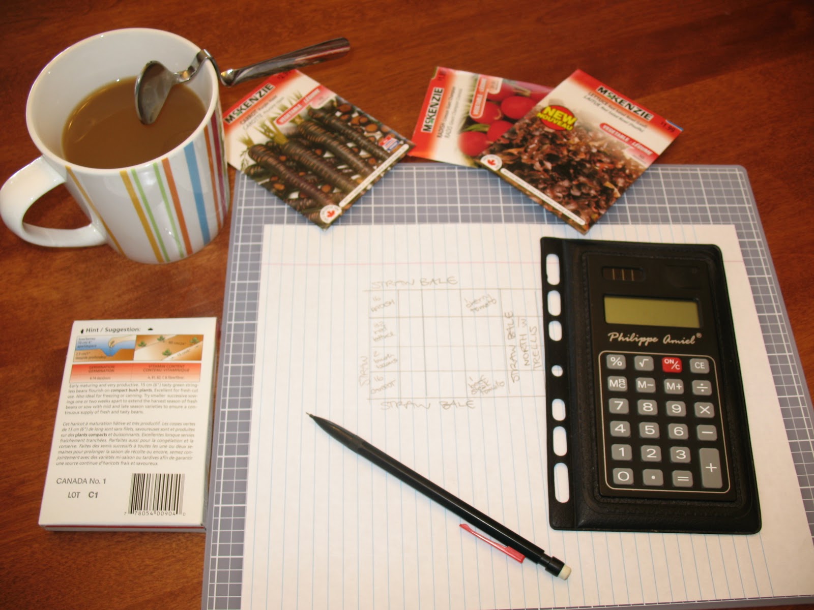 Dig It Hip To Be Square  intro to Square Foot Gardening