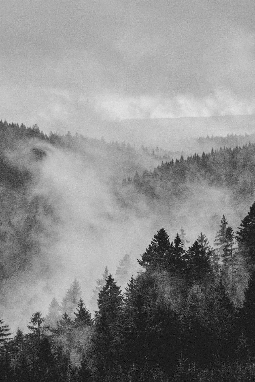 Grey Wallpaper HD Hq