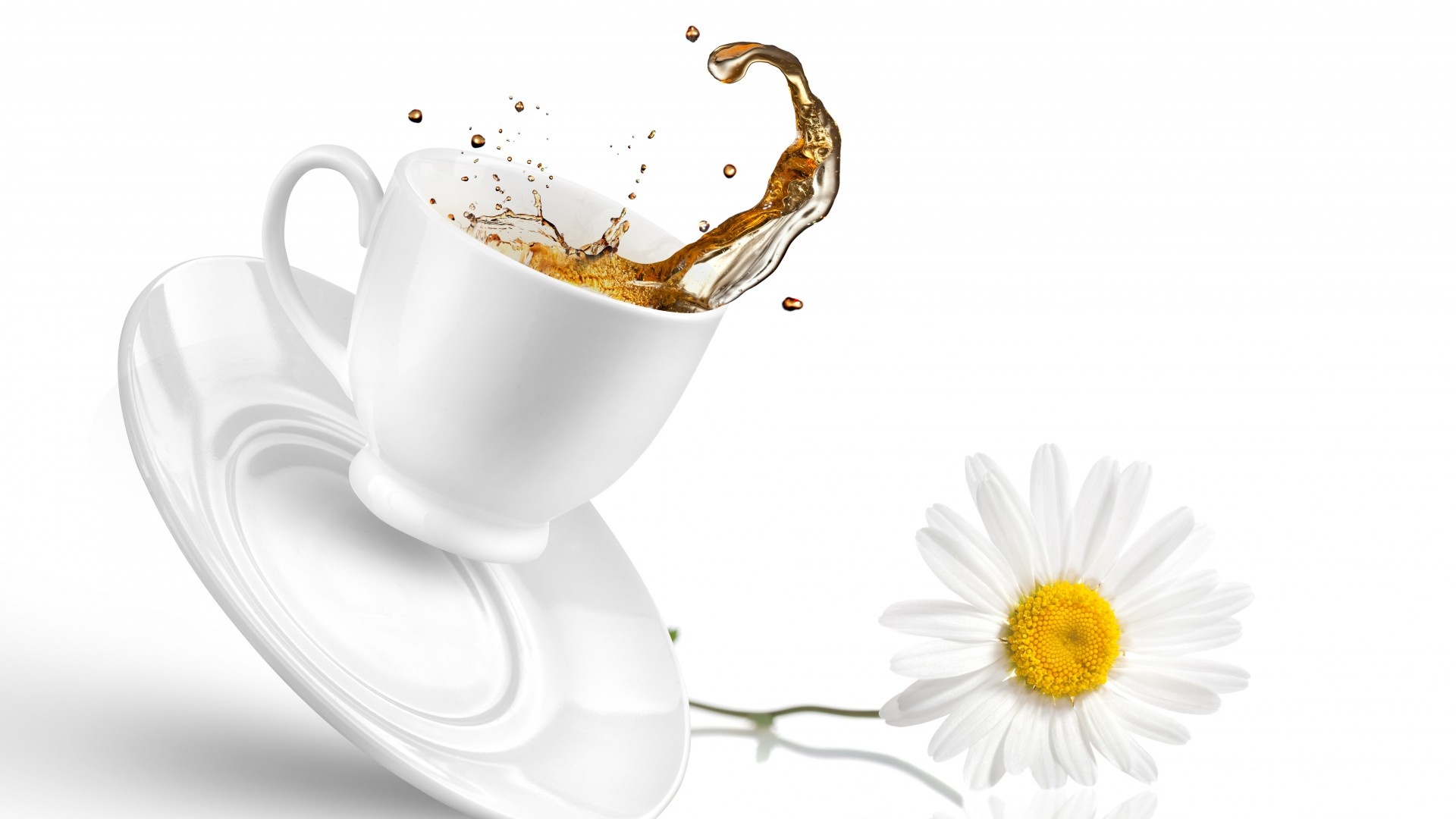 Wallpaper Tea Cup Daisy Flower Splash Desktop Other