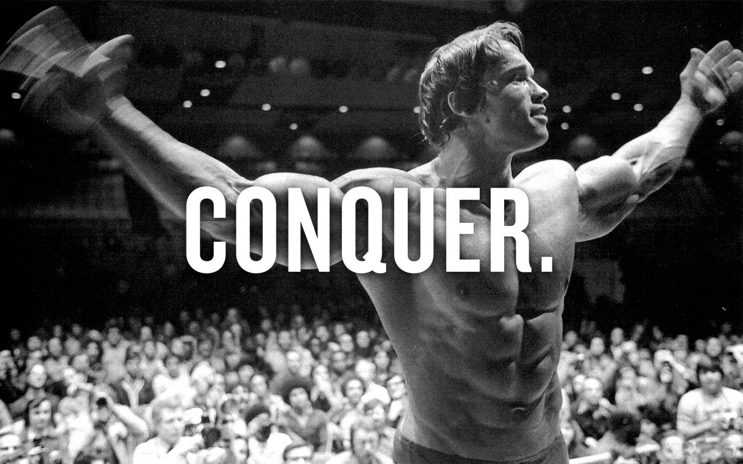 Arnold Schwarzenegger Conquer Wallpaper Image