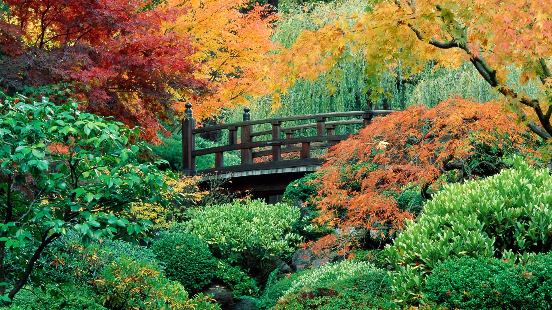Background Japanese Garden Washington Park Portland Oregon