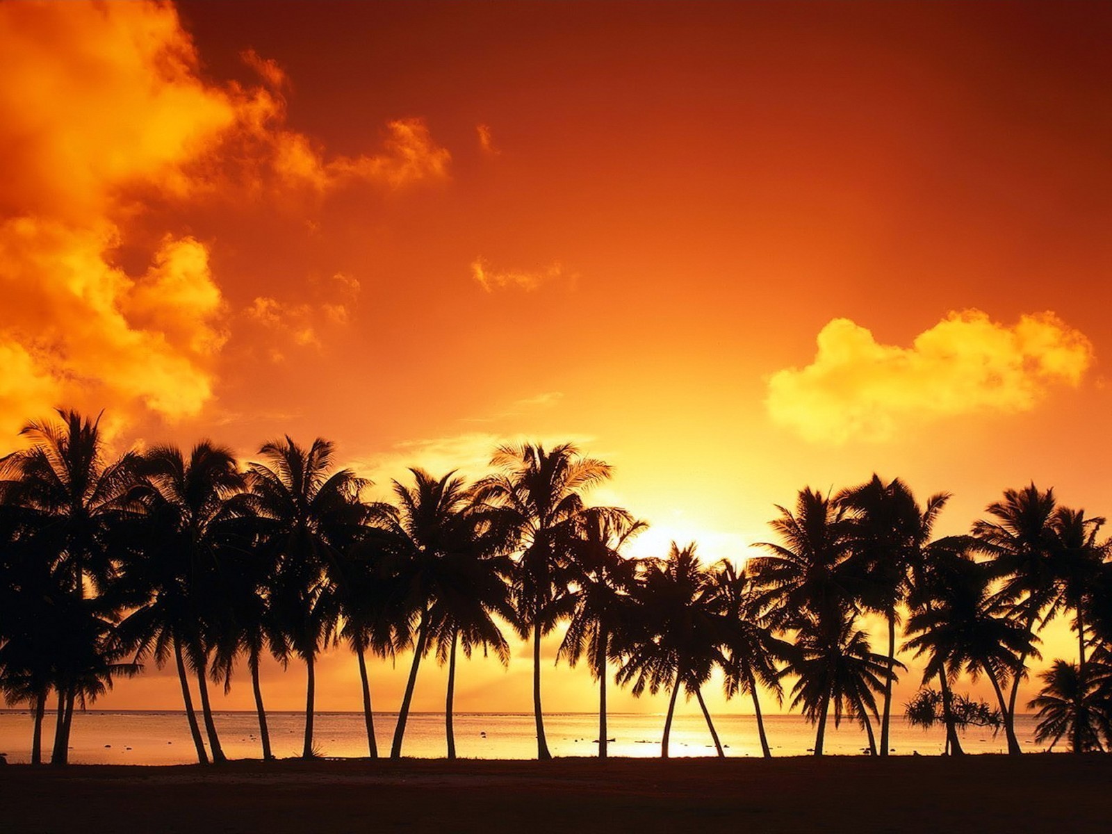 Sunset Best Quality Wide Screen Background Wallpaper