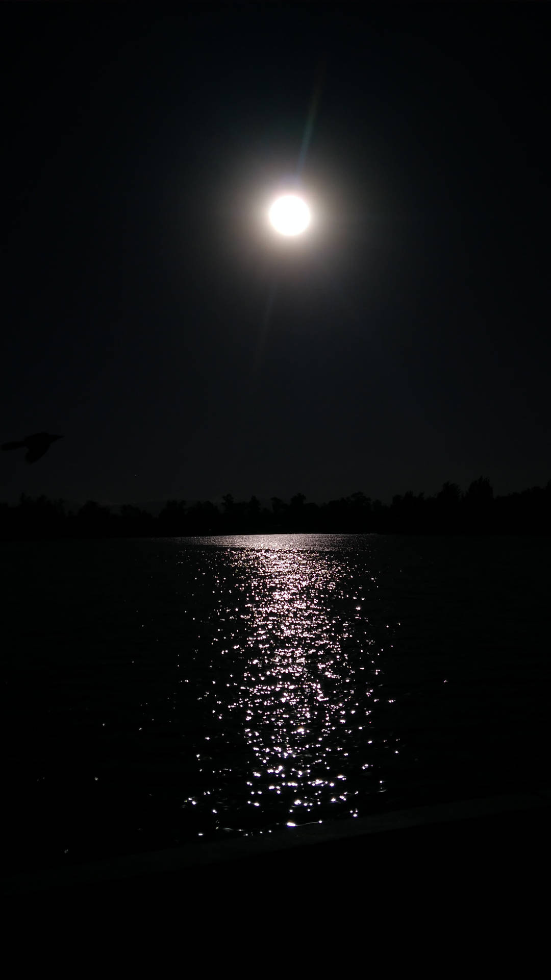 Moon Phone Wallpaper