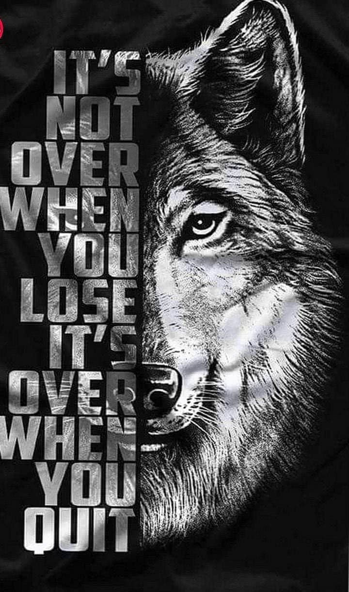 Lone Wolf Motivational Wallpaper Pro