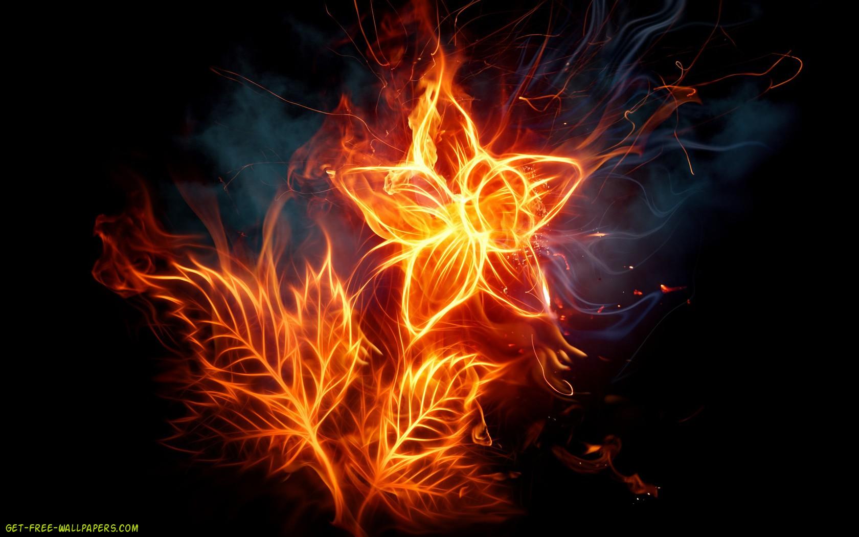 Cool Flame Wallpaper Flower of flame hq wallpaper