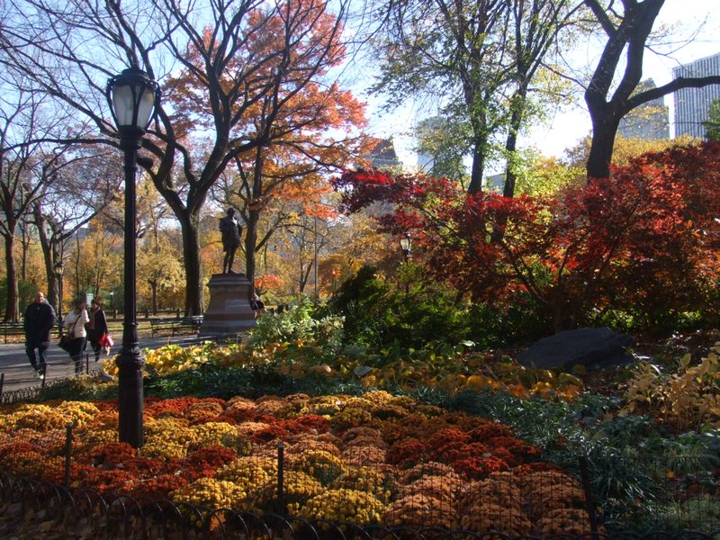 Autumn Central Park Wallpaper