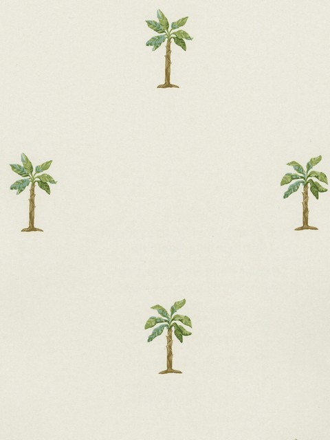 Wallpaper Photo Palm Html