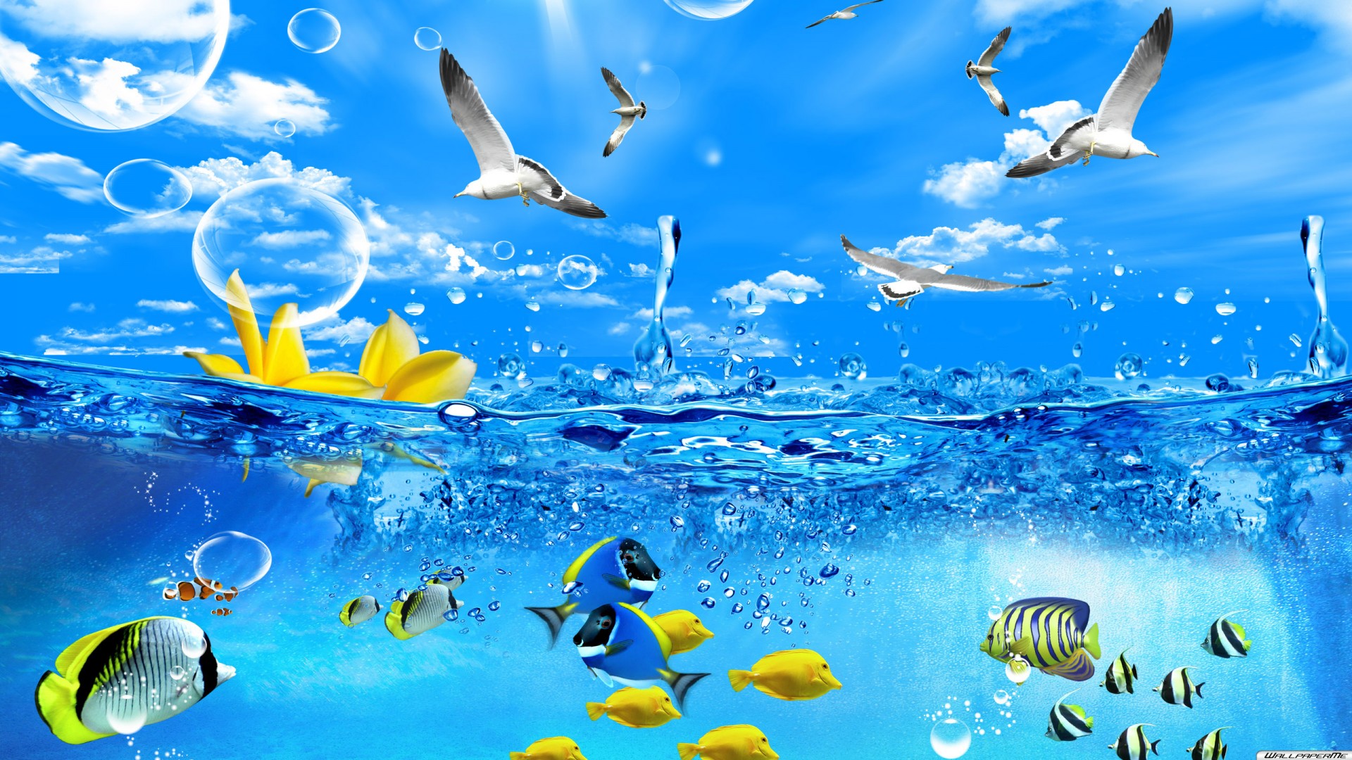 Desktop Hintergrundbilder 3d Fische