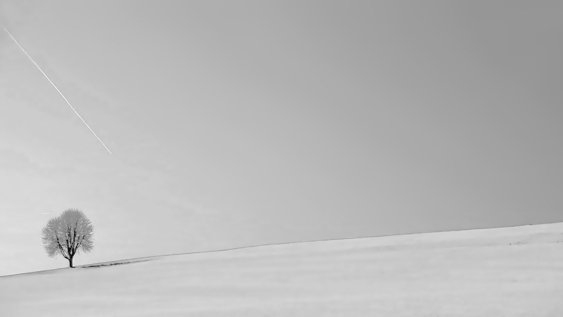 A minimalist black and white photograph of a lone tree on a snow-covered hill, with a jet trail in the sky