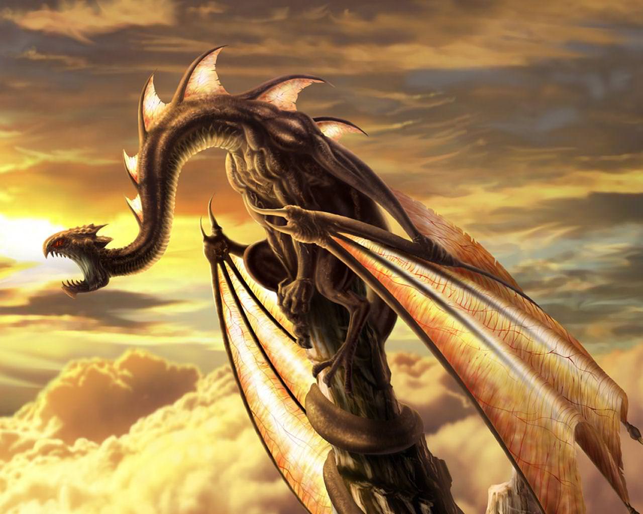 29 Dragon Wallpapers Backgrounds Images Pictures
