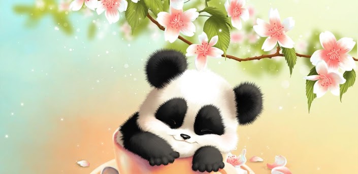 Sleepy Panda Live Wallpaper Android Apps Und Tests Androidpit