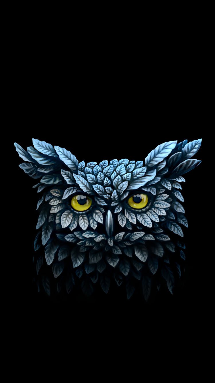 Owl iPhone Six Wallpaper 6s Funny