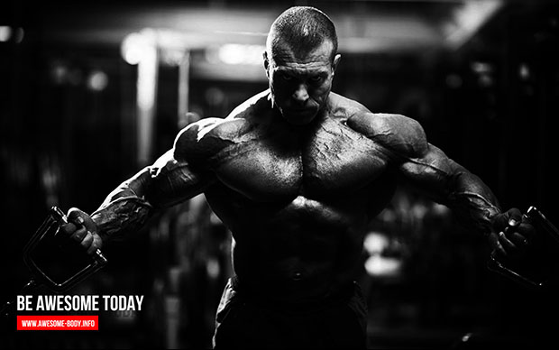 Free Bodybuilding Workouts Wallpaper Be Awesome Today Awesome Body